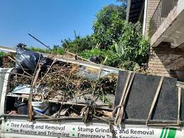 Best Shed Removal  in Meadowbrook, AL